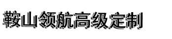 鞍山領(lǐng)航高級(jí)定制